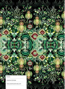 设计素材 113种独特的纹理图案 Patterns and Textures 336P