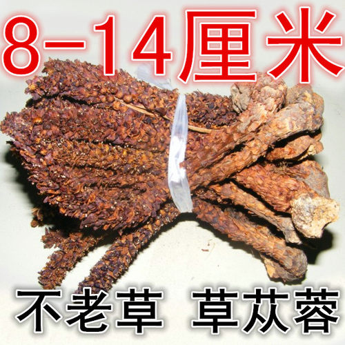 不老草山苞米草苁蓉大兴安岭泡酒
