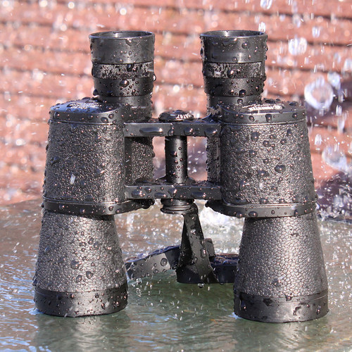 望远镜充氮防水专业高清寻找蜂