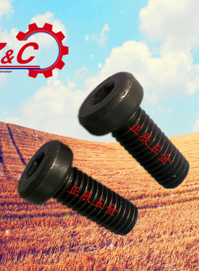 短头内六角螺栓 CBS3-5/4/5/6/8/10/12