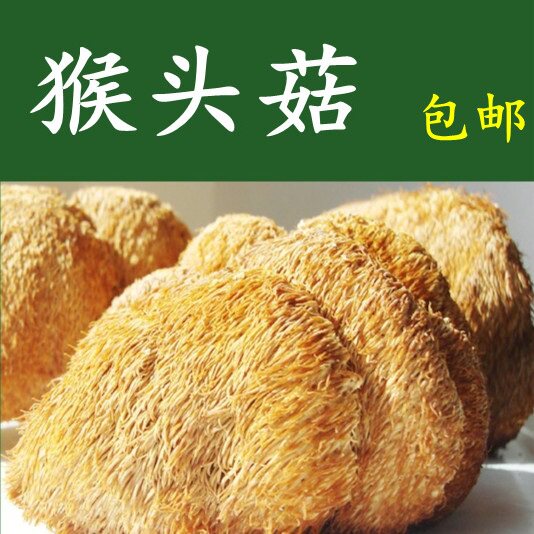 猴头菇  猴头蘑菇 猴头菌 珍贵山珍干货