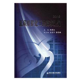 低碳醇催化工程技术研究 包邮 2016 焦更生 正版 书 科学家书籍 书店 畅想畅销书