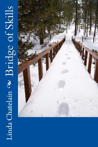 【预售】Bridges of Skills