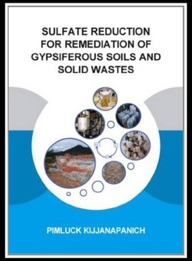 【预售】Sulfate Reduction for Remediation of G