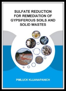【预售】Sulfate Reduction for Remediation of G