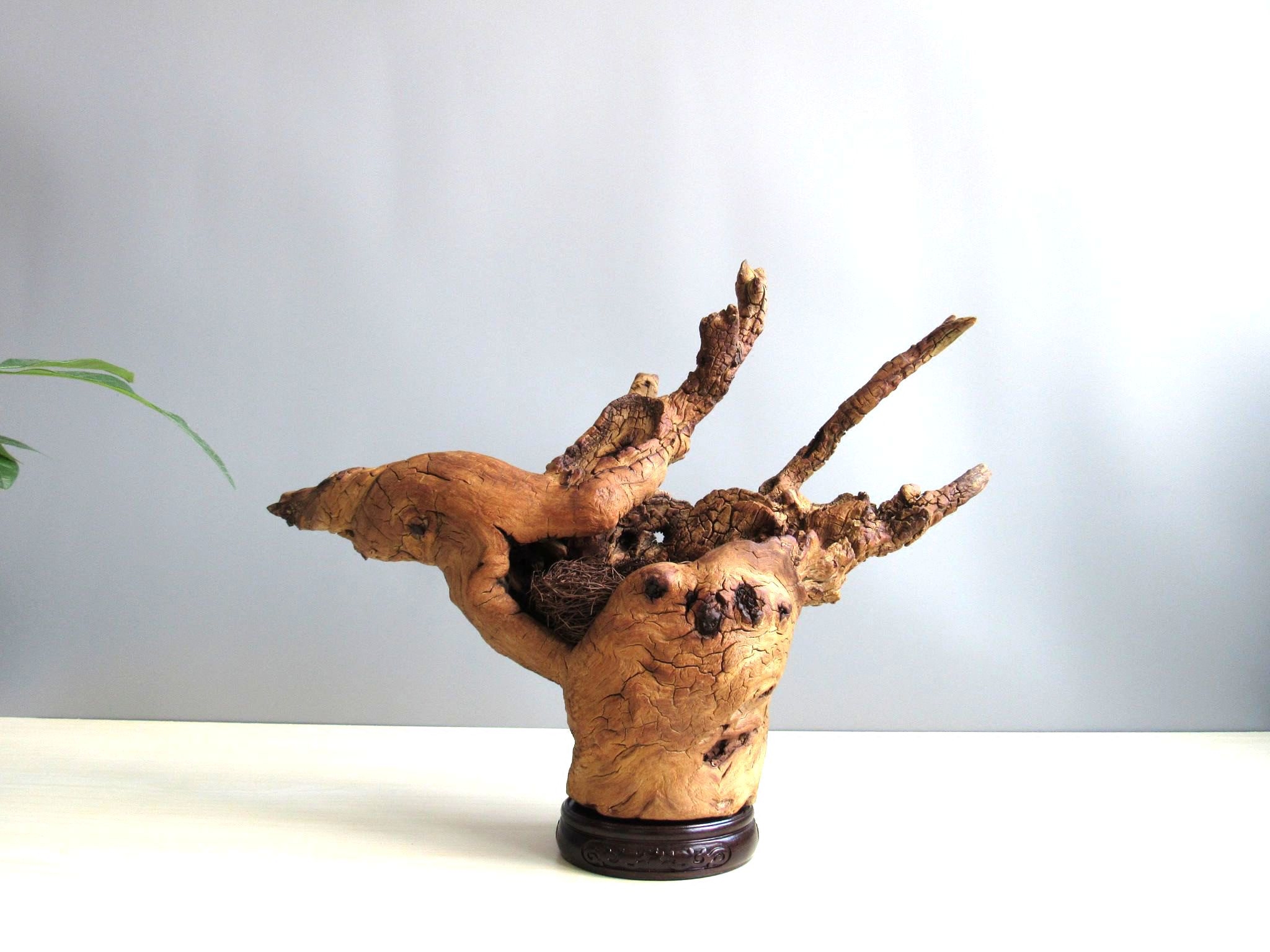 千年胡杨风化枯原朽木装饰品礼品装饰摆件桌面摆件摆件饰品家居