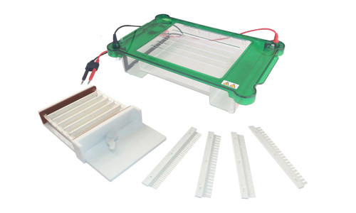 供应jy-sp3型水平电泳槽--北京君意