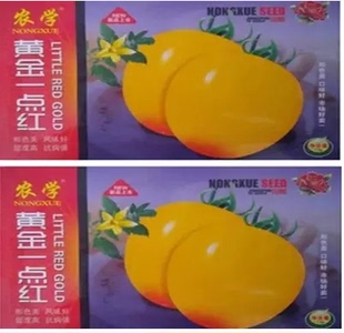 蔬菜种子黄顶红黄金一点红番茄 风味好甜度高 庭院阳台露地
