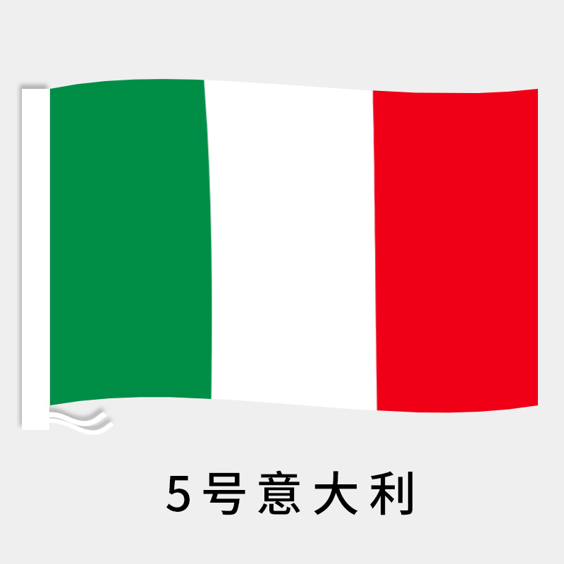 5号意大利 全世界国旗可定做 有红旗党旗彩旗旗杆导游旗帜旗子