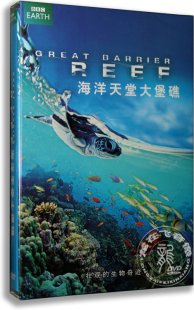 盒装 正版 海洋天堂大堡礁 DVD BBC纪录片 中英双语dvd影碟片