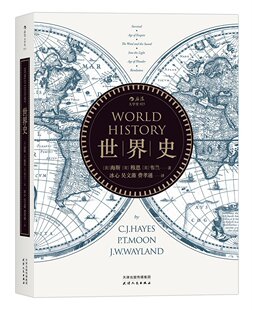 世界史 冰心 吴文藻 费孝通 译