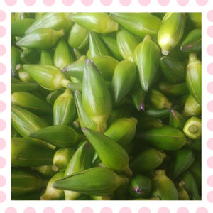 莲花鲜花采摘中有：紫的粉的黄的