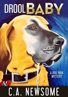 【预售】Drool Baby: A Dog Park Mystery