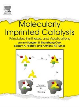 【预售】Molecularly Imprinted Catalysts: Pri...
