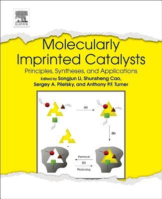 【预售】Molecularly Imprinted Catalysts: Pri...
