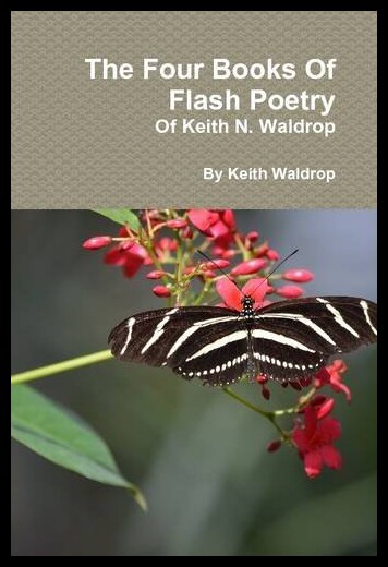 【预售】The Books of Flash Poetry of Keith N. Waldrop