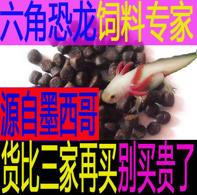 六角饲料恐龙鱼包邮用高蛋白