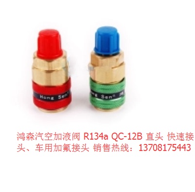 鸿森汽空加液阀 R134a QC-12B 直头  快速接头 车用冷媒加氟接头