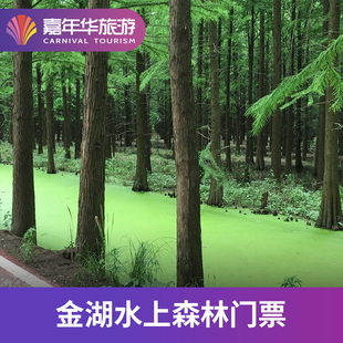 [金湖水上森林-大门票+竹筏+单程观光车+单程小火车]江苏 淮安 金湖水上森林