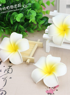 单支唯美风鸡蛋花拍摄化妆品道具