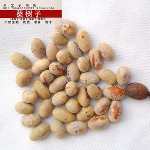 新会特产 葵树子米 去壳葵树籽 葵扇子/葵扇籽/扇叶葵果 500g