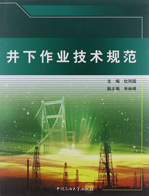 井下作业技术规范  杜丙国  编者   中国石油大学出版社