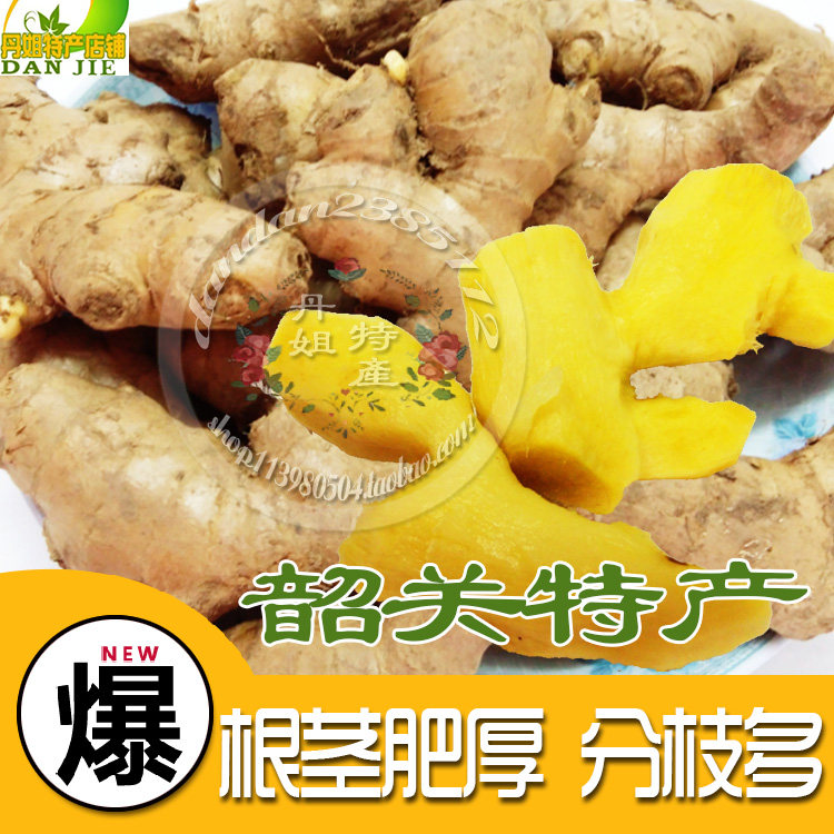 韶关特产 农家干货罗坑生姜老姜头 精品月子小黄姜 500克