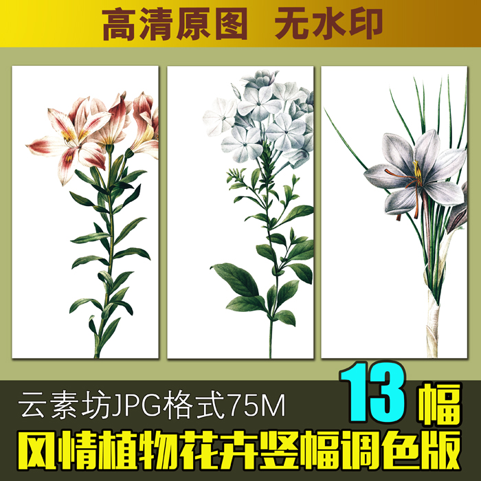 植物花卉装饰画素材高清图库餐厅三联画无框画芯图片竖幅欧美插画图片