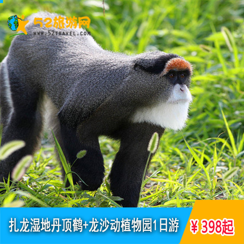 齊齊哈爾起止紮龍濕地龍沙動植物園1日遊觀賞仙鶴+觀賞珍稀動物在類目 度假線路/簽證送關/旅遊服務, 自由行/跟團遊, 國內跟團遊中 - 來自Buy2taobao.com提供專業的淘寶代購服務