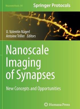 【预订】Nanoscale Imaging of Synapses: New C...