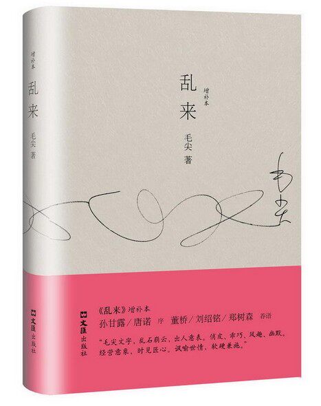 正版现货 乱来(增补本) 毛尖作品