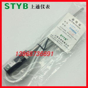 。上通仪表探头式热电阻防水防锈热电偶WZPT-14 PT100  WRNT k型