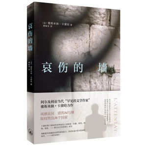 XIN [正版]哀伤的墙/雅斯米纳·卡黛哈/9787542655912