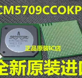 【直拍】BCM5709CC0KPBG 全新現貨 原装