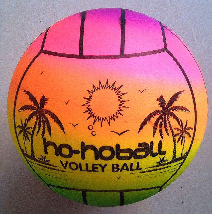 Ballon de volley-ball - Ref 2011601 Image 1