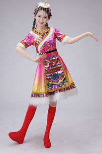 藏族演出服装 女水袖 高档藏服新款 装 新款 特价 藏族舞蹈演出服女