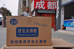 平板木桨卫生纸金炫600型大大卷筒纸无印花有芯公用商务珍宝卷纸