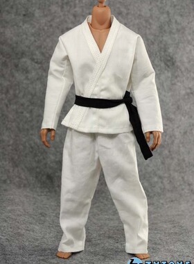ZYTOYS 1/6 柔道套装 功夫 白色功夫装 兵人手办 人偶模型ZY15-16