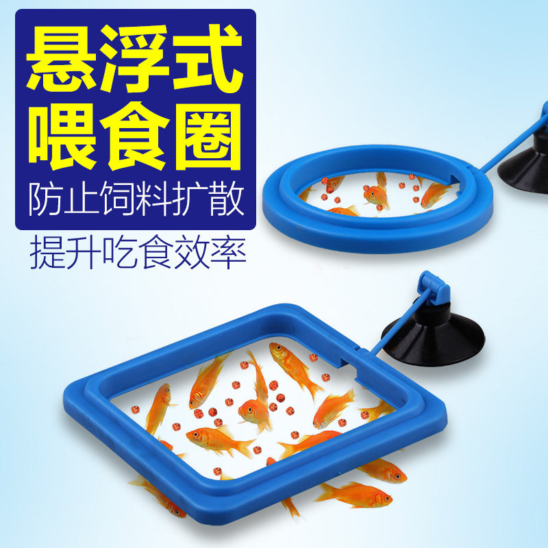 鱼缸悬浮式喂食器 水族箱投食器投食圈小型鱼缸喂食 喂食环喂食圈