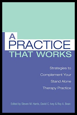 【预售】A Practice That Works: Strategies to Complement Y