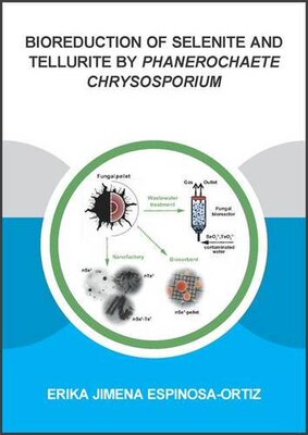 【预订】Bioreduction of selenite and telluri...