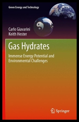 【预售】Gas Hydrates: Immense Energy Potential and Enviro