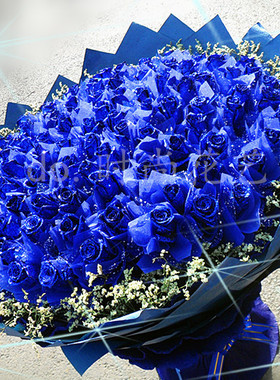 情人节七夕圣诞生日鲜花99朵蓝玫瑰蓝色妖姬花束沈阳同城鲜花速递