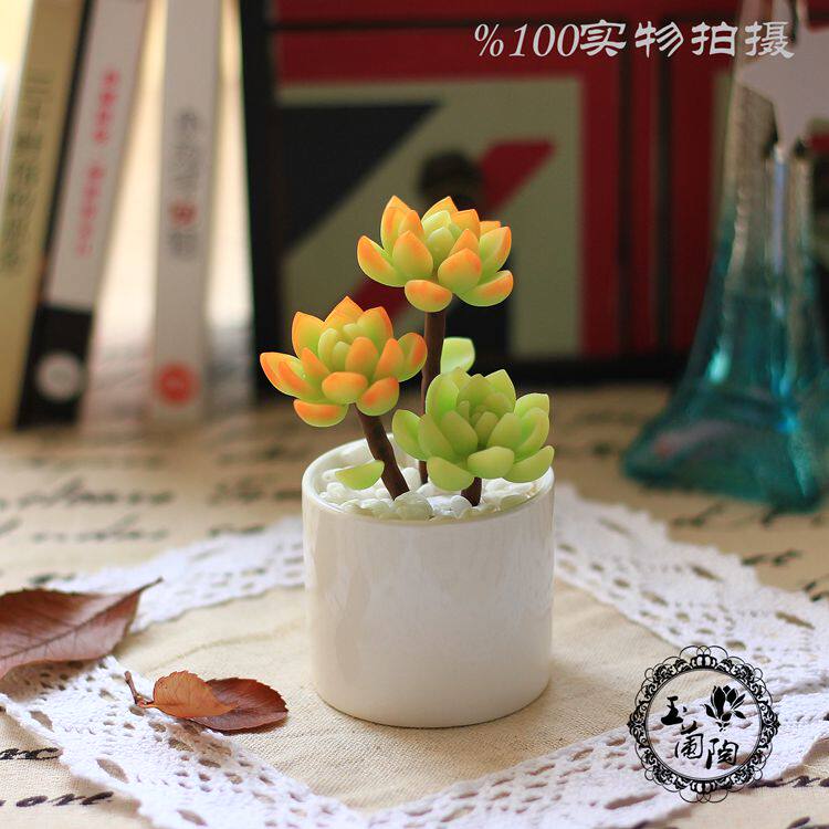 进口软陶手工手做定制韩国果冻多肉多浆仿真植物老桩黄丽摆件礼物