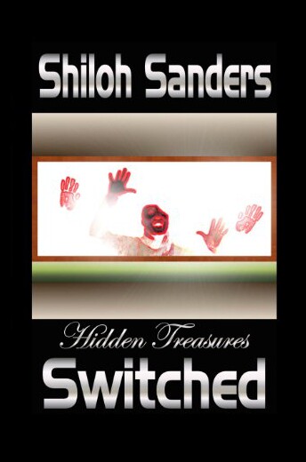 【预售】Hidden Treasures: Switched