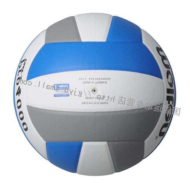 Ballon de volley - Ref 2014627 Image 1