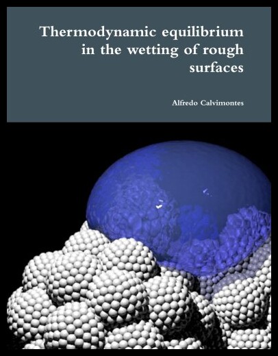 【预售】Thermodynamic Equilibrium in the Wetting of Rough