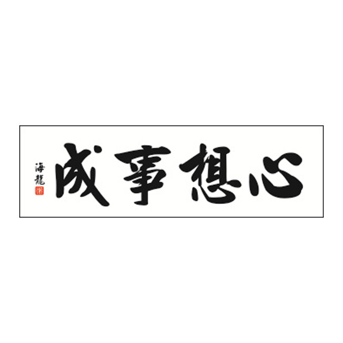 心想事成精准印花十字绣