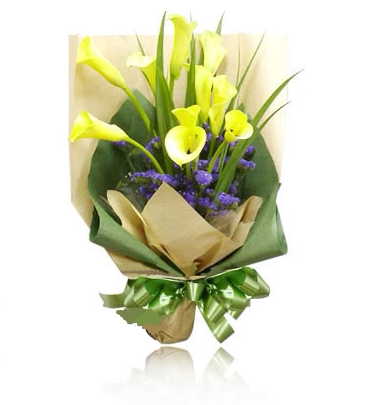 海芋花束价格 海芋花束图片 星期三