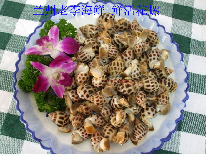 兰州老李海鲜 鲜活花螺 东风螺